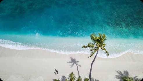 極上のリゾート