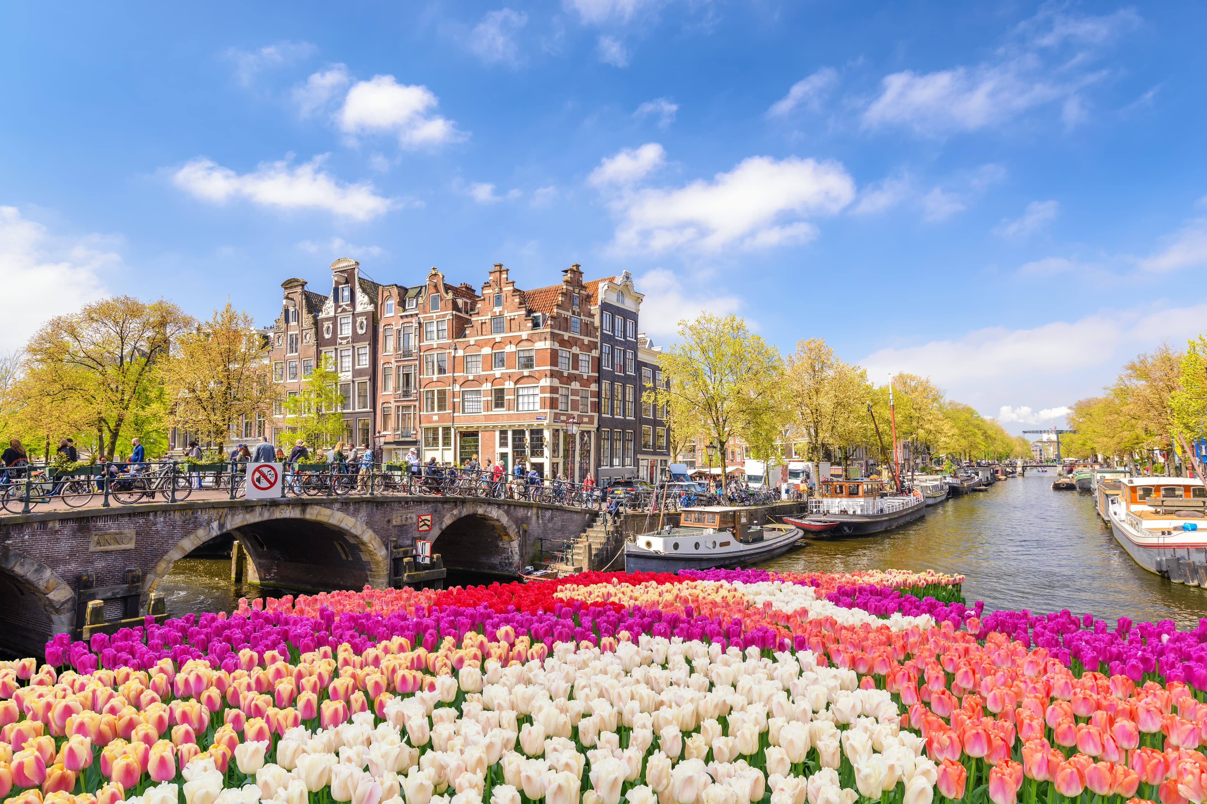 おトクなオランダツアー