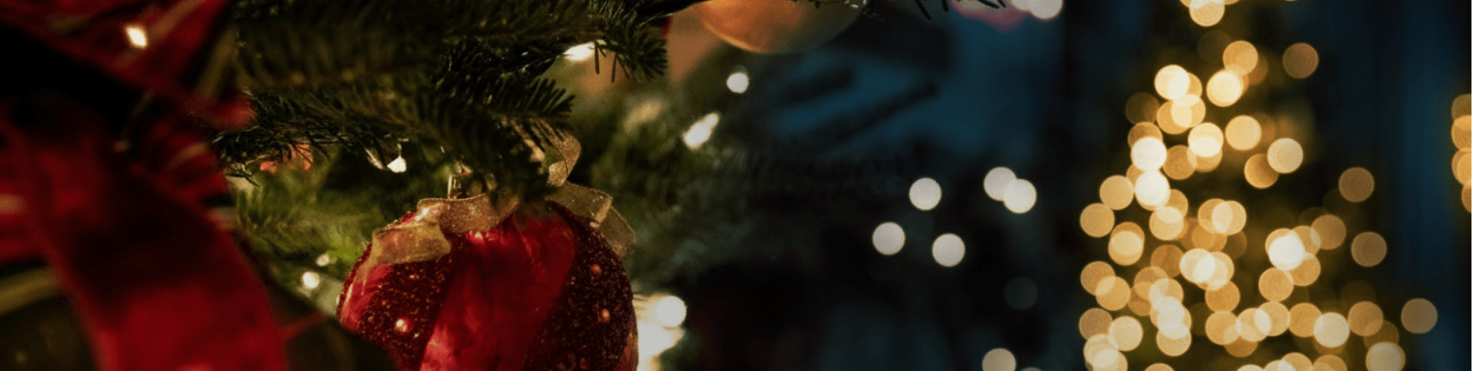 クリスマスセール｜NEWT（ニュート） メイン画像