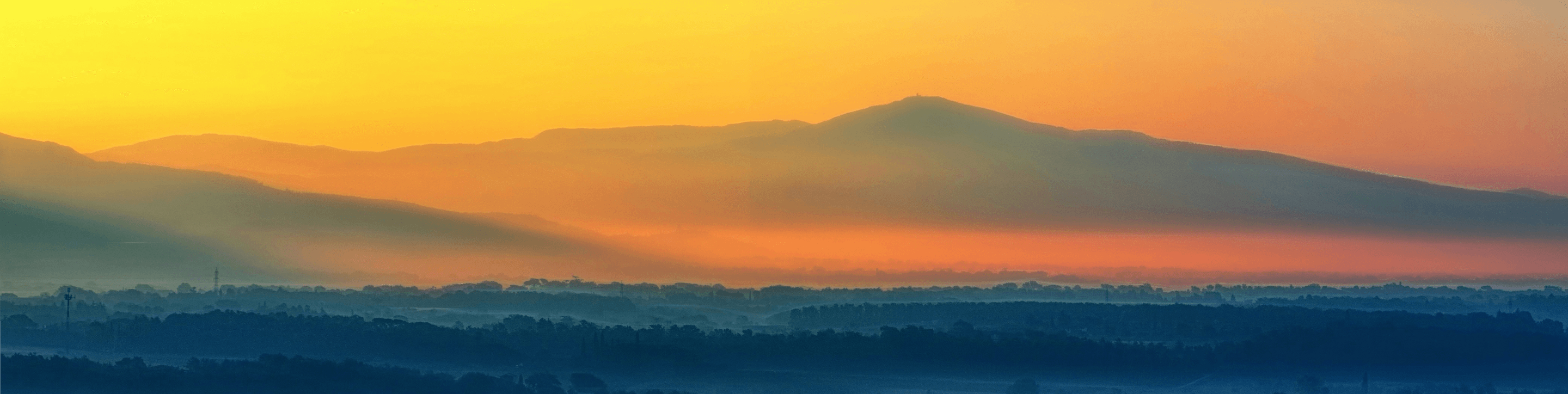 メガ初売りセール｜NEWT（ニュート） メイン画像