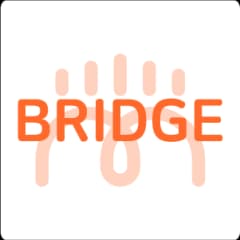 THE BRIDGE