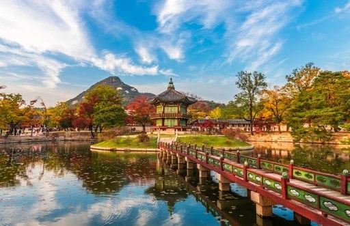 韓国のツアー