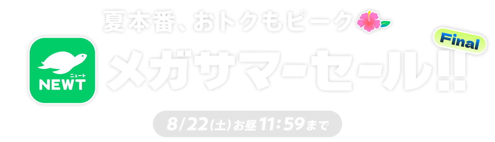NEWTメガサマーセール Final🌺【関西発】|NEWT(ニュート)のタイトル画像